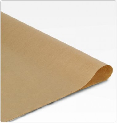 9141102.jpg